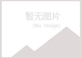 陆河县雪青建筑有限公司